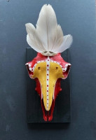 /album/bildgalleri/jimmy-nelson-no-5-jpg/